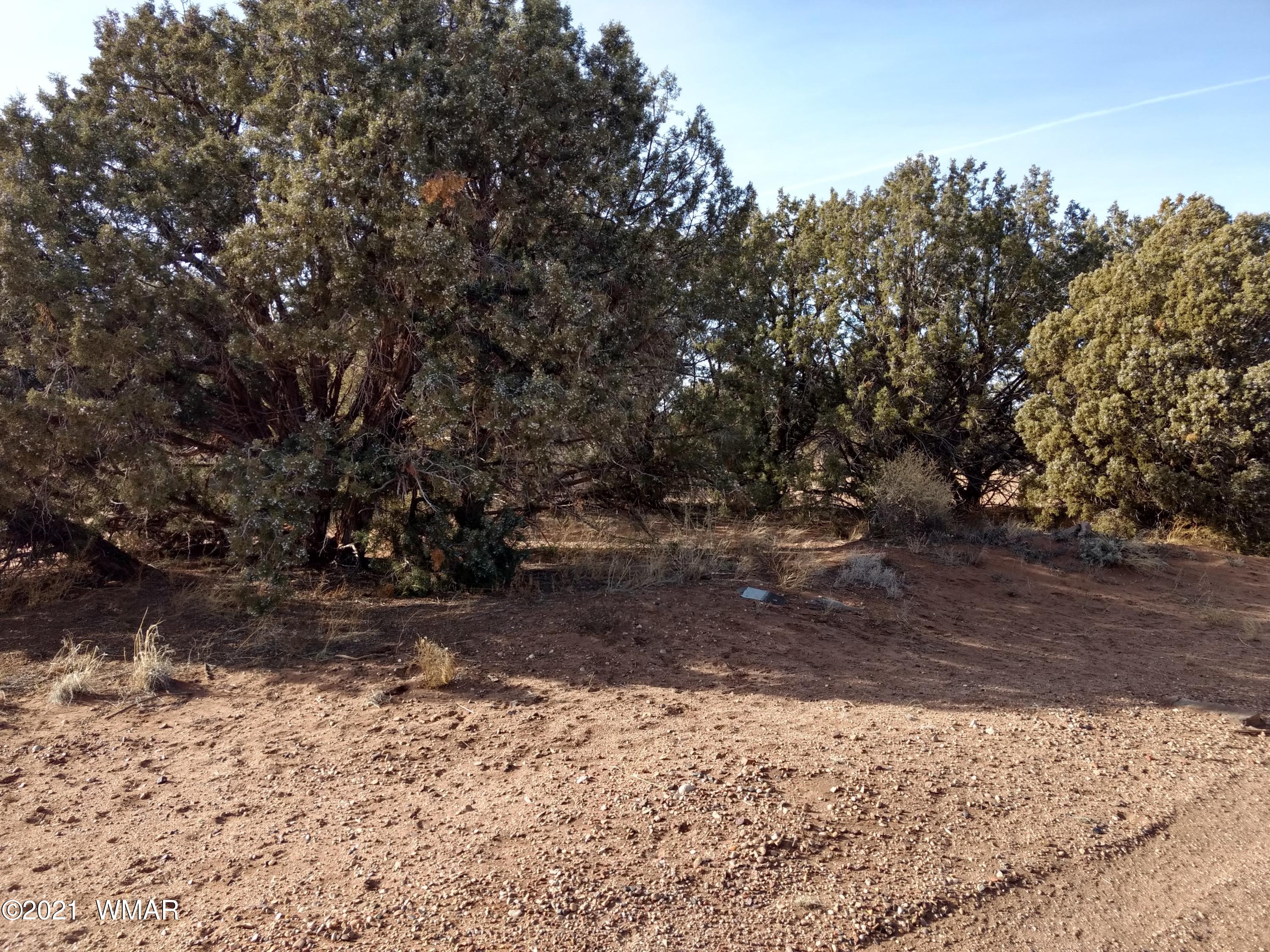 4343 East Pinto Road Snowflake, AZ 85937 - Photo 10 of 17 a view of a yard with trees in front of it