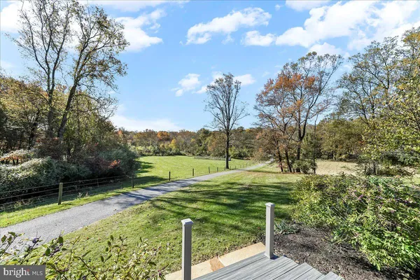 a view of a backyard with large trees