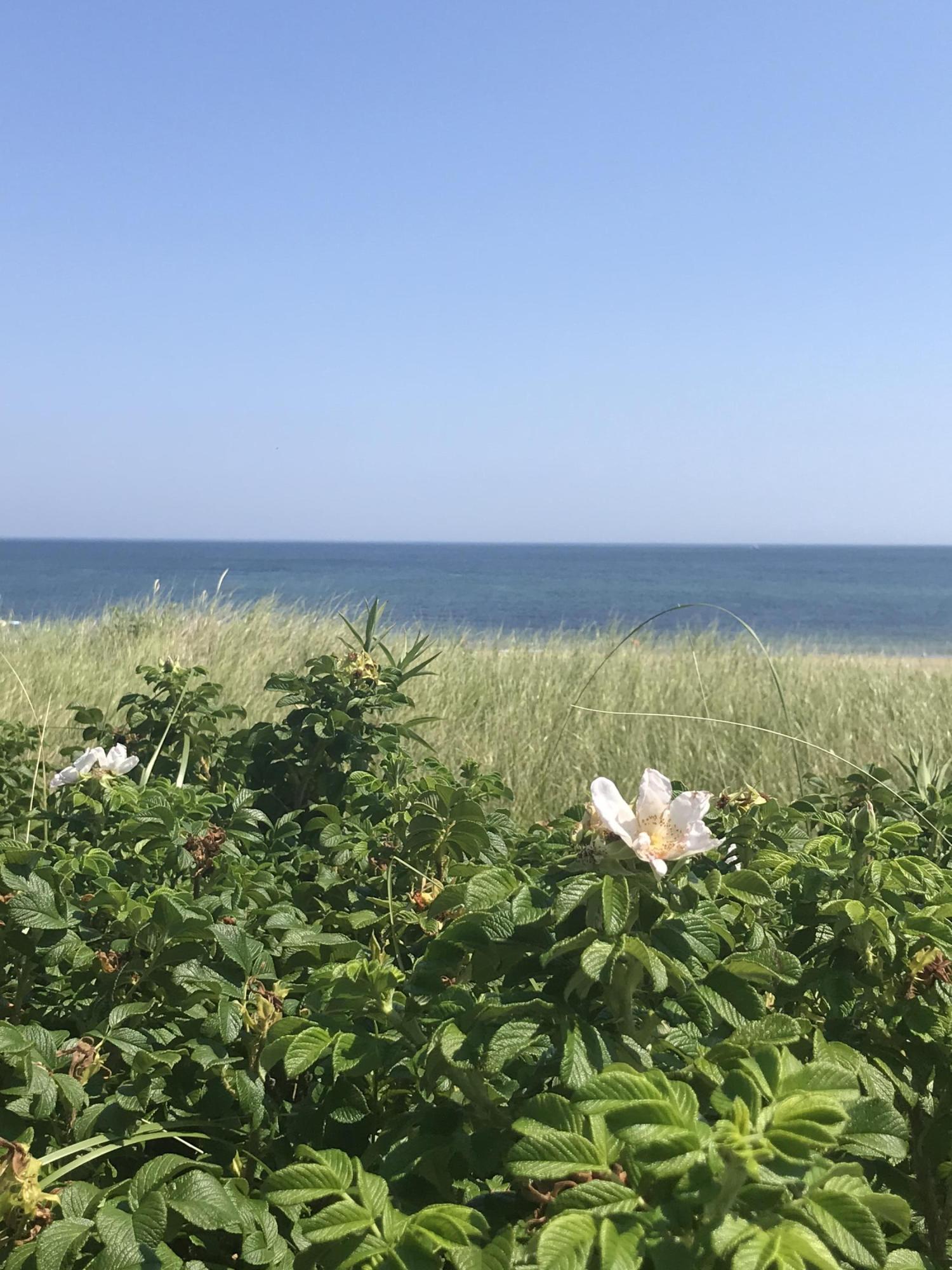 217 Phillips Road Sandwich, MA 02562 - Photo 36 of 37 a view of a lake with a city