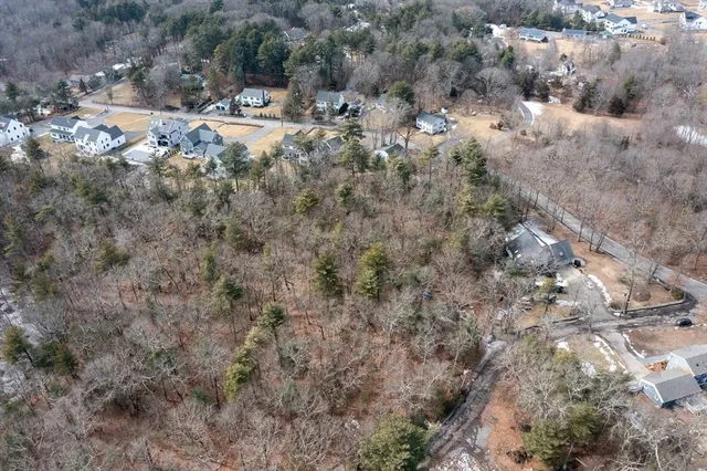 a view of a forest with a yard