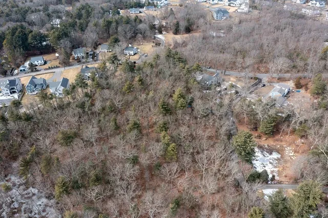 a view of a dry yard