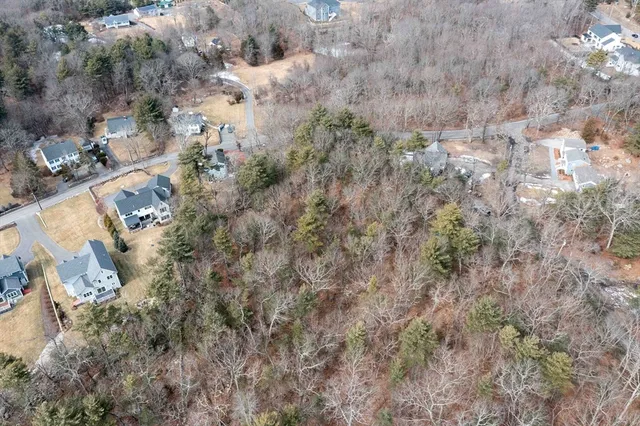 a view of a plants of a house
