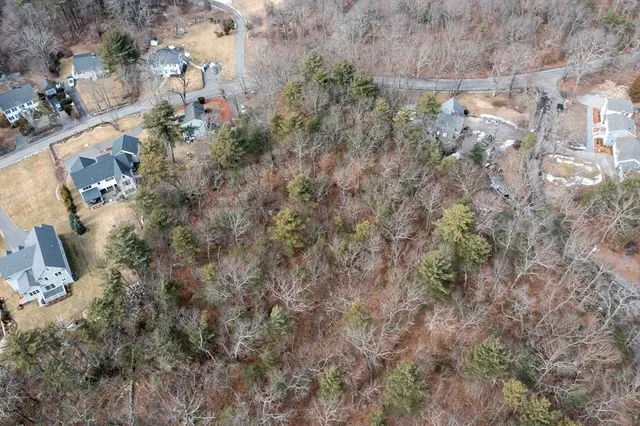 a view of a yard with a plants and trees