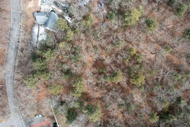 a view of a big yard