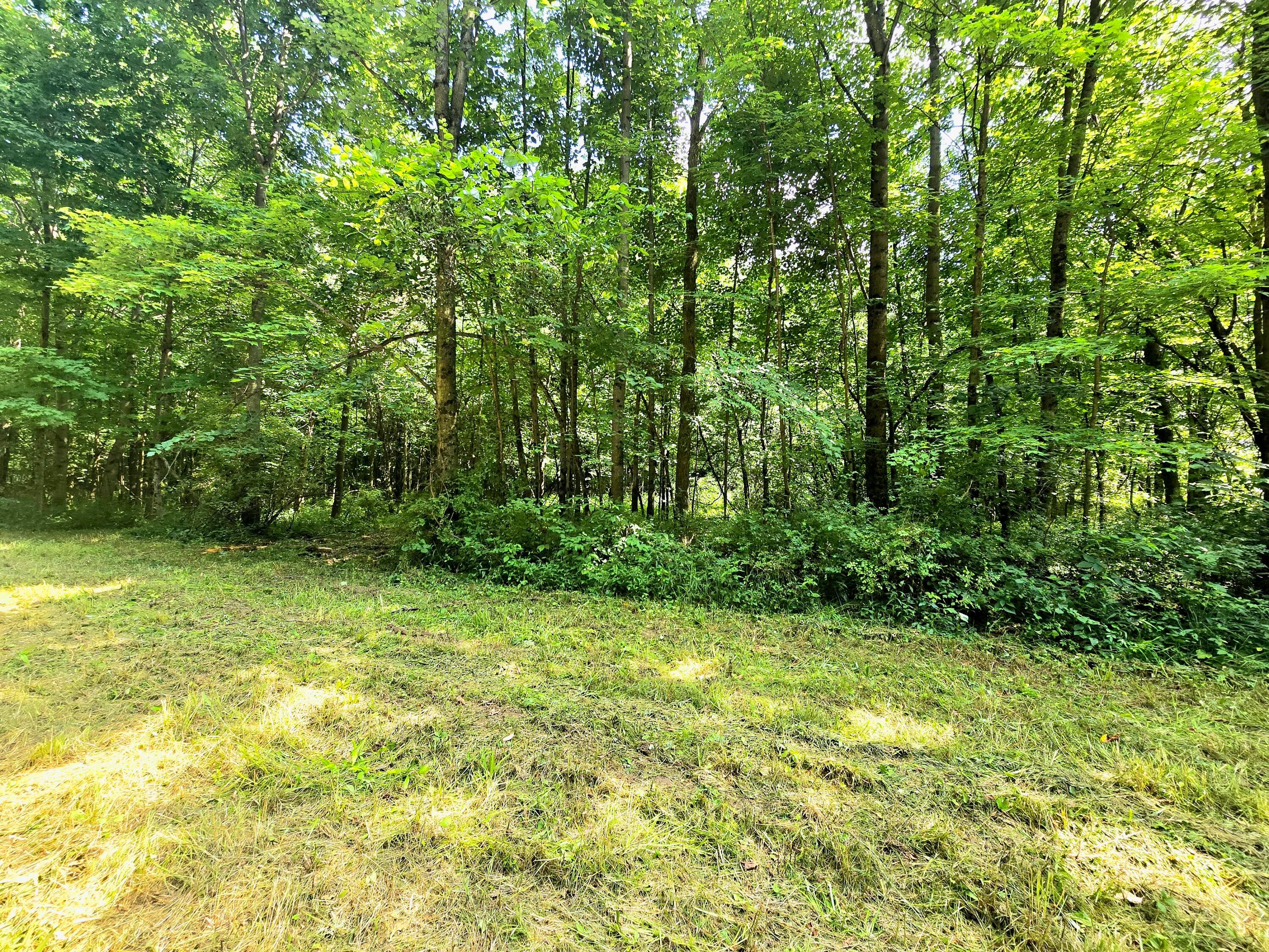 9026-1 Gregg Road Fredericktown, OH 43019 - Photo 6 of 16 1000062275