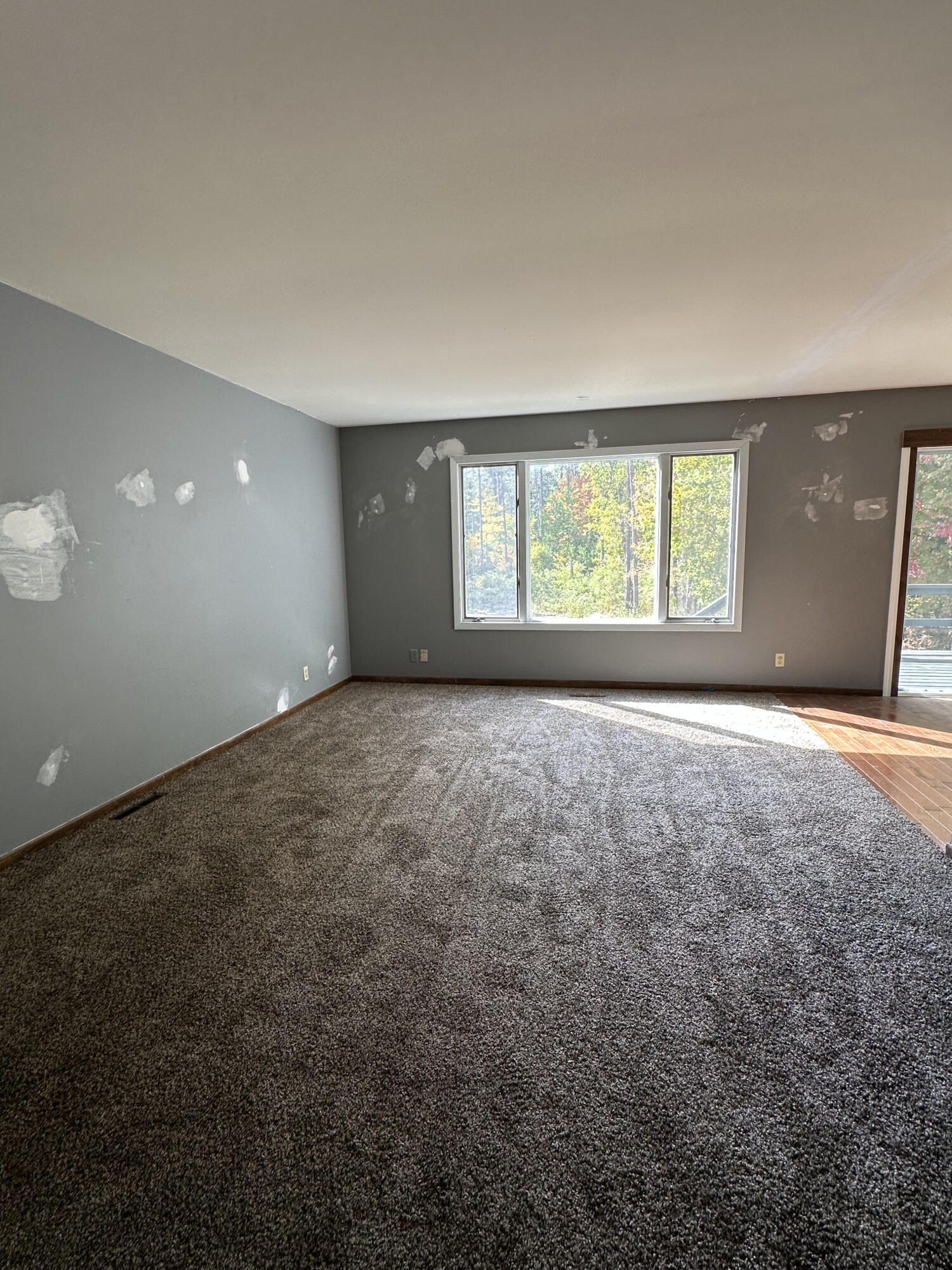 7658 South Coldwater Road Blanchard, MI 49310 - Photo 4 of 14 CW Living Room