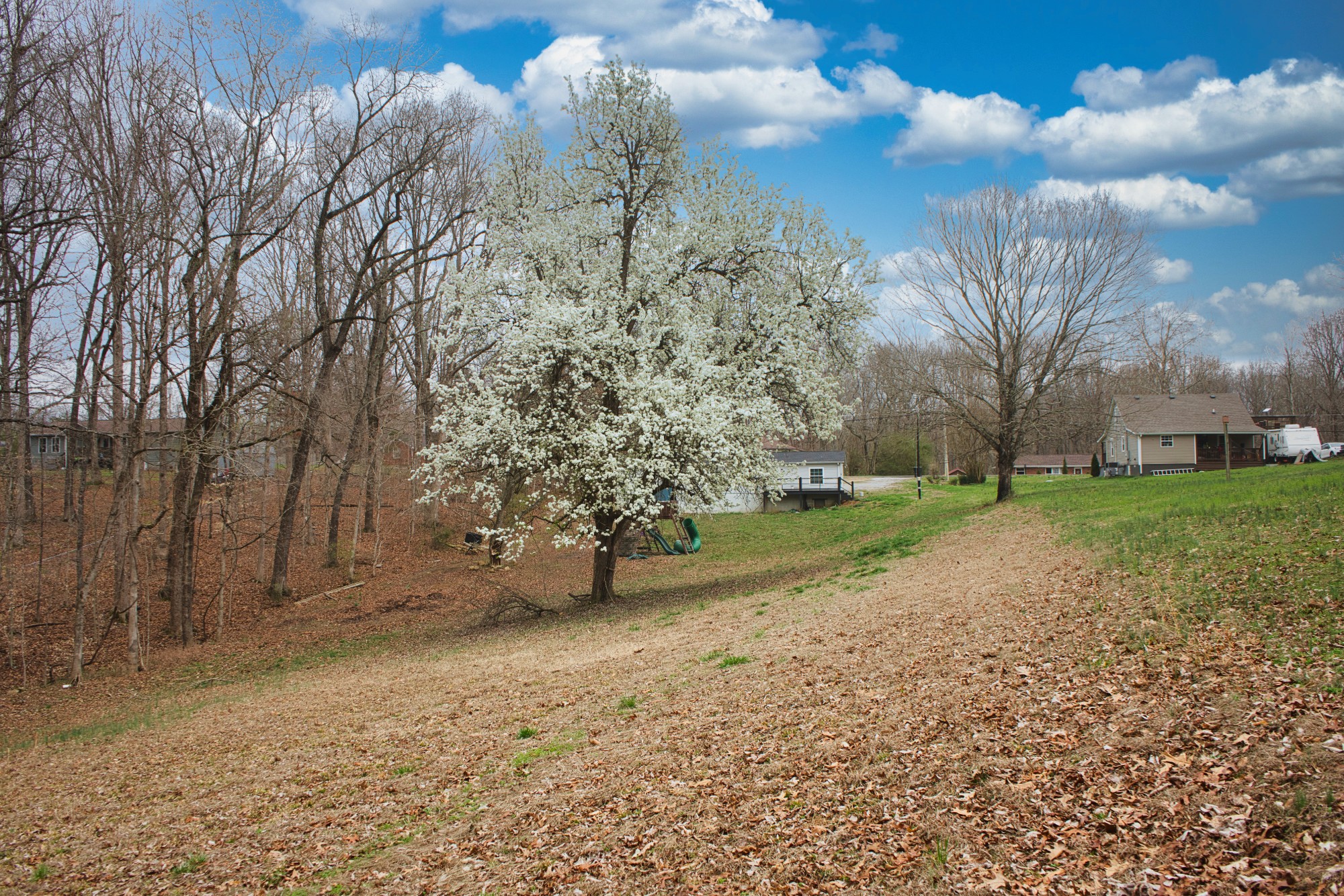 3079 Trace Creek Road White Bluff, TN 37187 - Photo 4 of 35