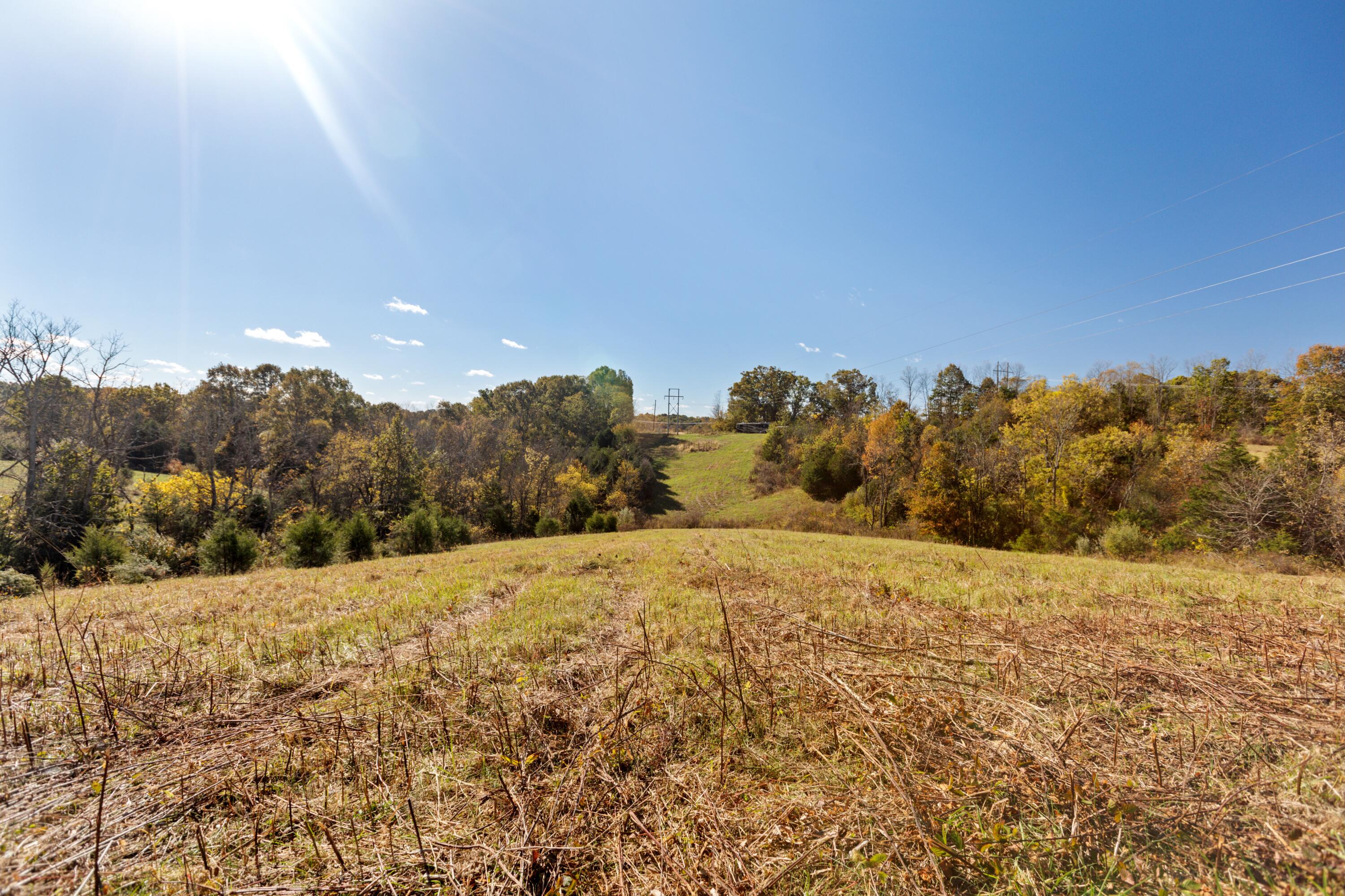 0 Coppage Road Stamping Ground, KY 40379 - Photo 7 of 11 7