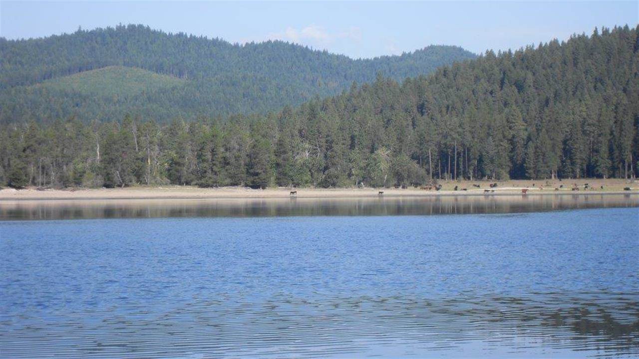 932 Riverbend Loop Road Cusick, WA 99119 - Photo 13 of 13