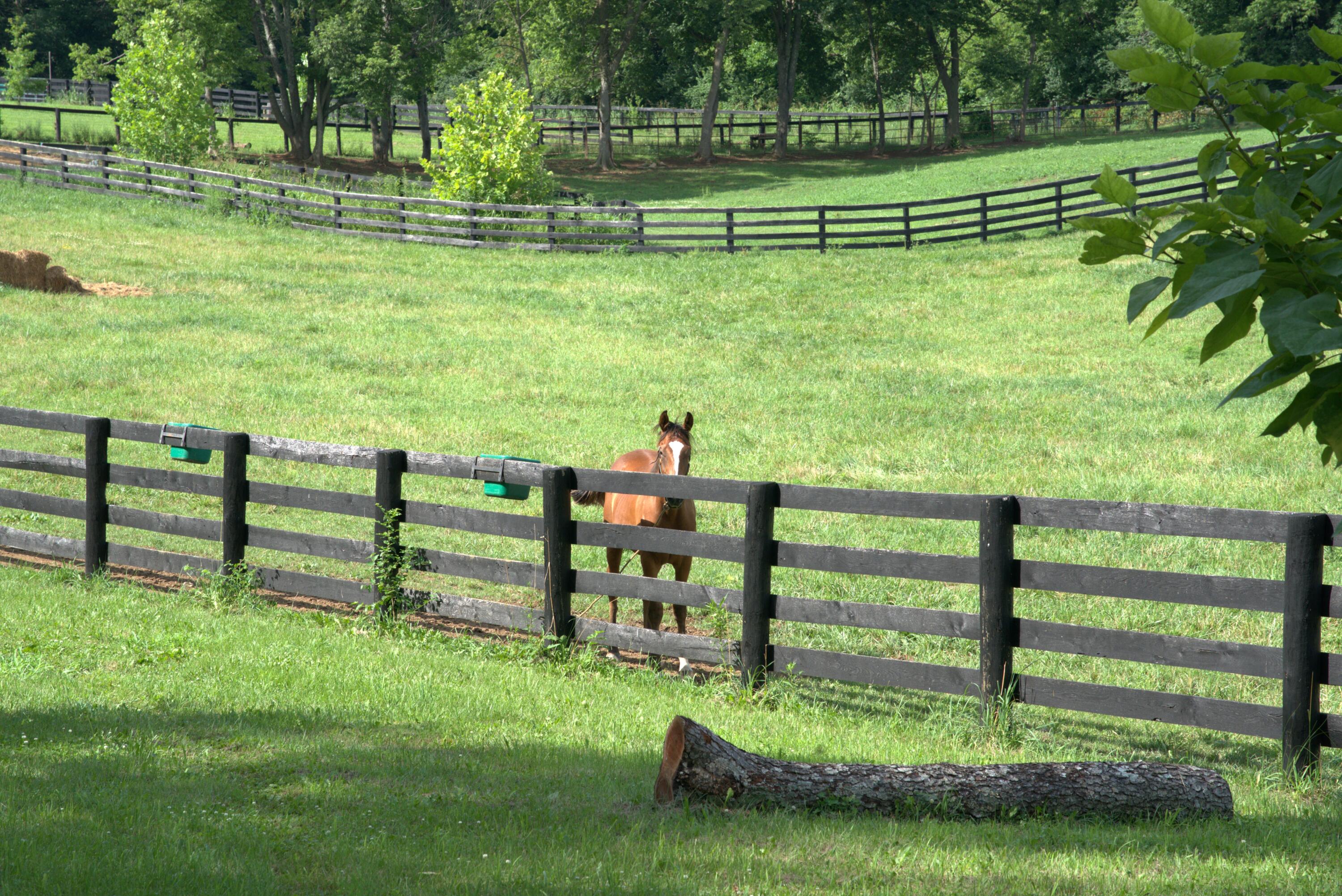 401 Cane Ridge Road Paris, KY 40361 - Photo 9 of 29 _JGB7417