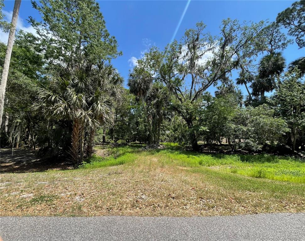 a view of a backyard