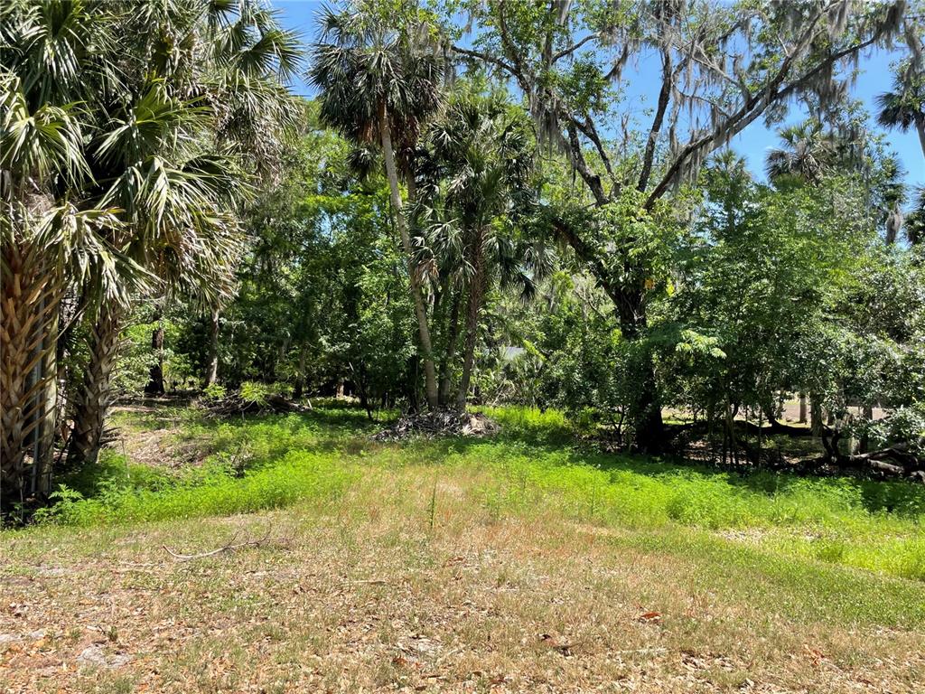 1496 Kettledrum Trail Deltona, FL 32725 - Photo 2 of 11 a view of a park with large trees