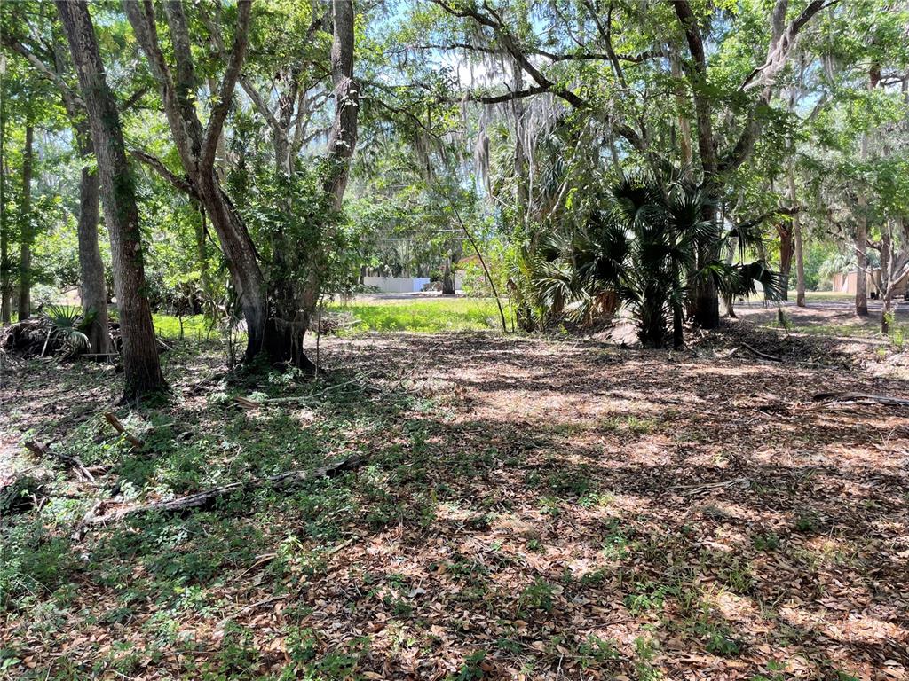 1496 Kettledrum Trail Deltona, FL 32725 - Photo 3 of 11 a view of a yard with a tree