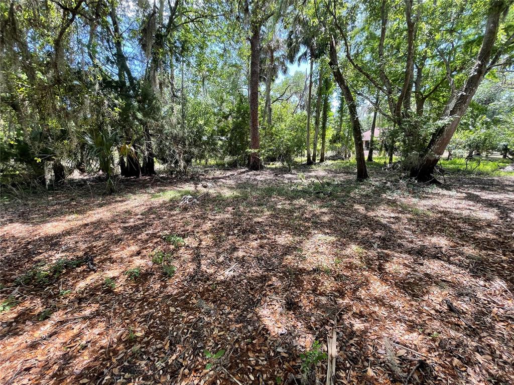 1496 Kettledrum Trail Deltona, FL 32725 - Photo 4 of 11 a view of outdoor space with trees