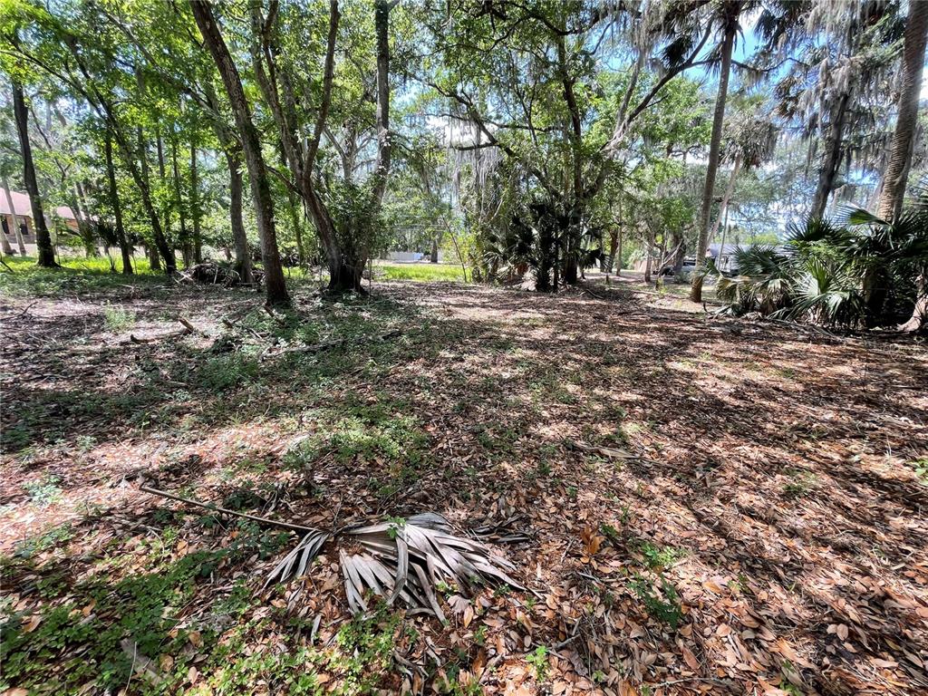 1496 Kettledrum Trail Deltona, FL 32725 - Photo 5 of 11 a view of outdoor space with trees