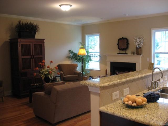5810 Spring Glen Lane Raleigh, NC 27616 - Photo 4 of 12 a living room with furniture potted plant and a fireplace