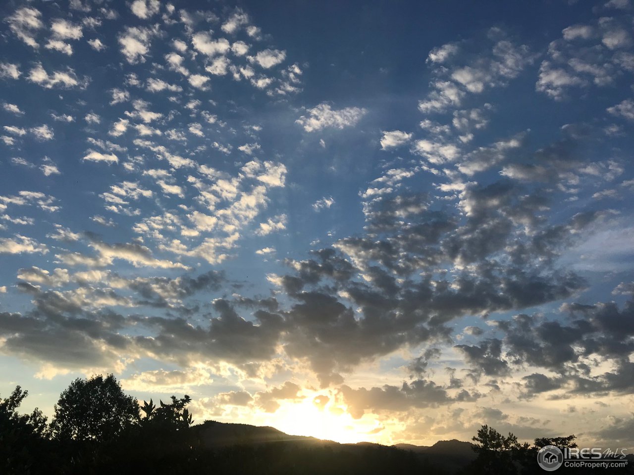 2711 Mapleton Avenue, Unit 27 Boulder, CO 80304 - Photo 13 of 13 a view of a tree