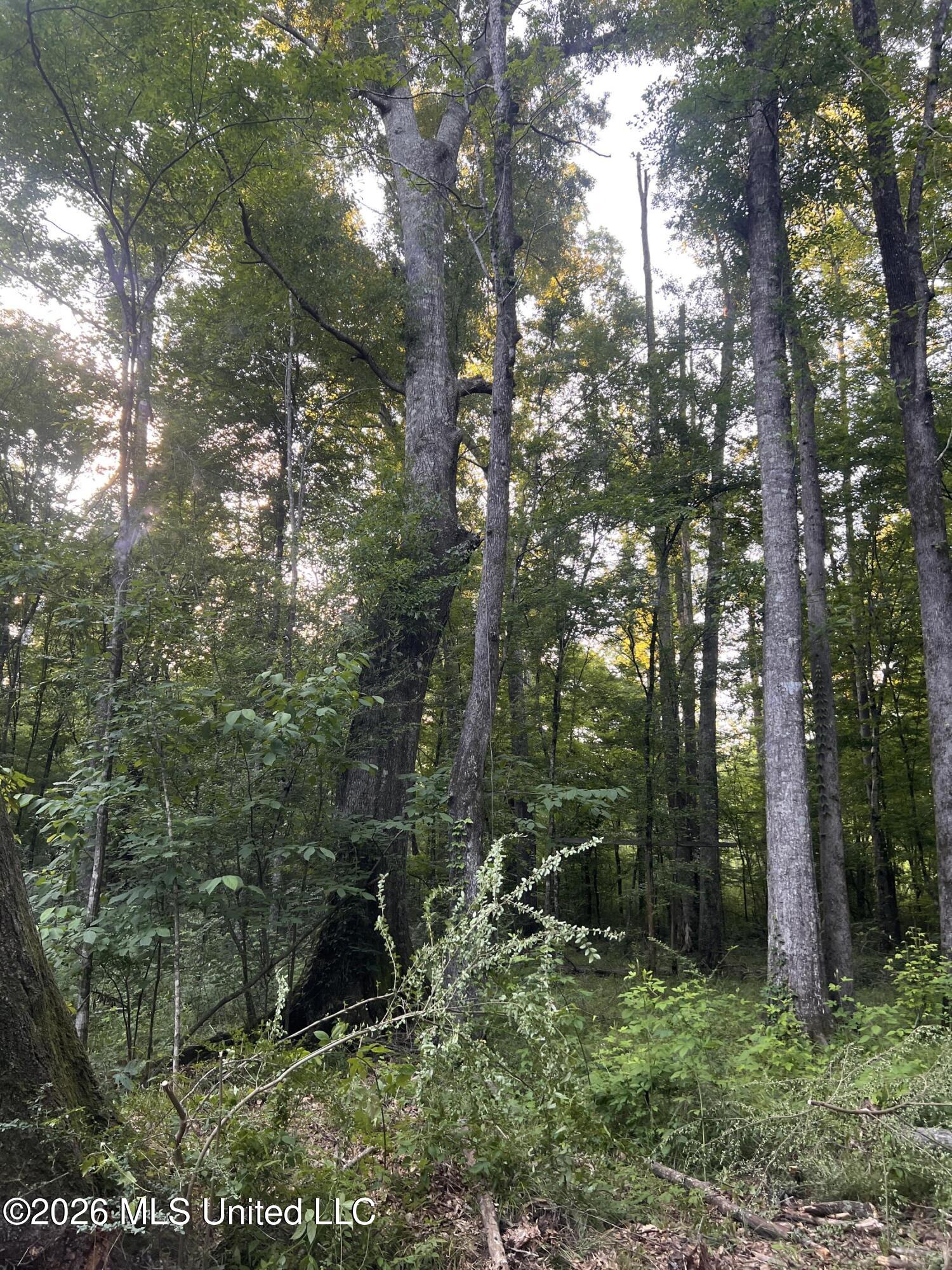 5734 Hebron Road Liberty, MS 39645 - Photo 25 of 32 26.