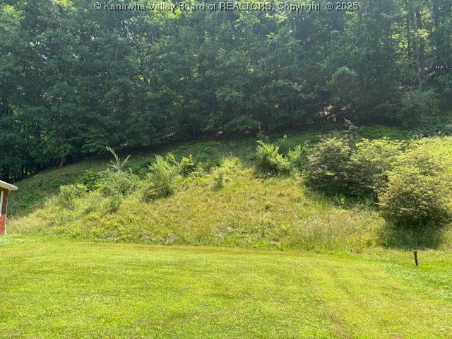 3202 Wallback Road Wallback, WV 25285 - Photo 20 of 27 Gallery Image 20
