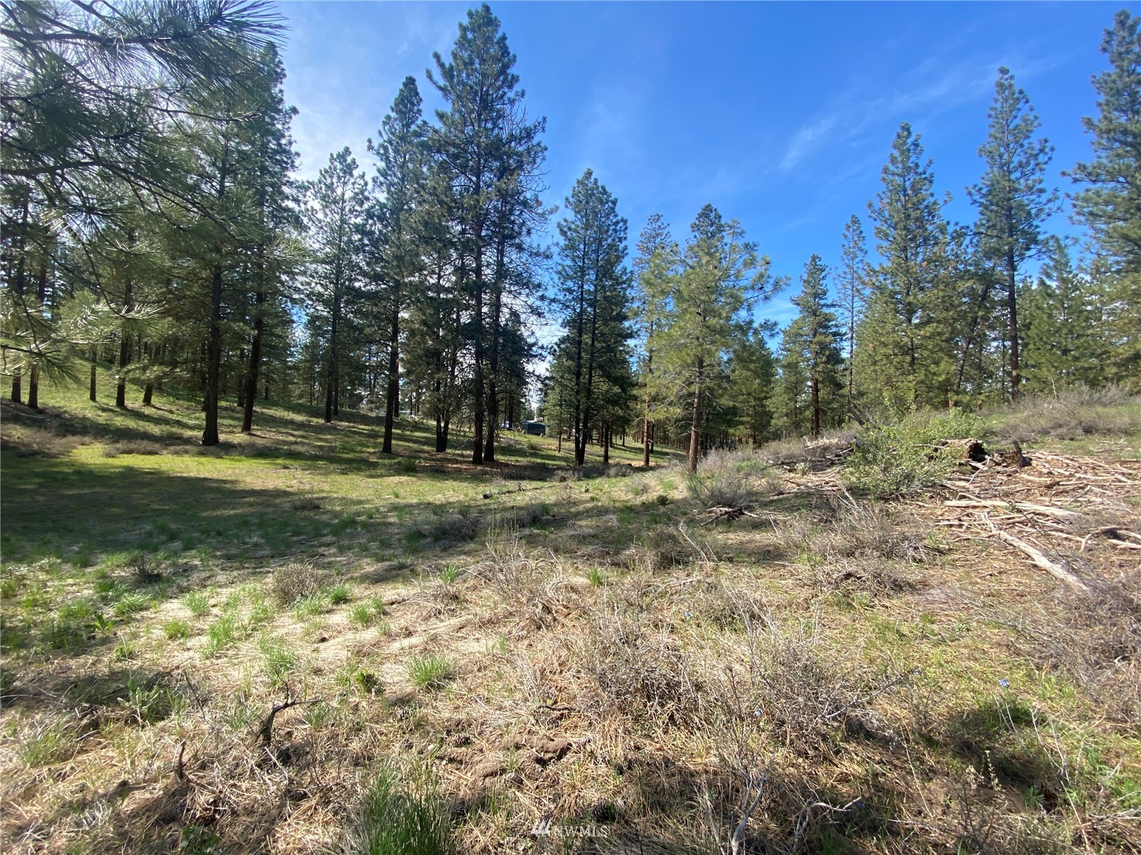 14 Knotty Pine Road Winthrop, WA 98862 - Photo 1 of 21 Gallery Image 1