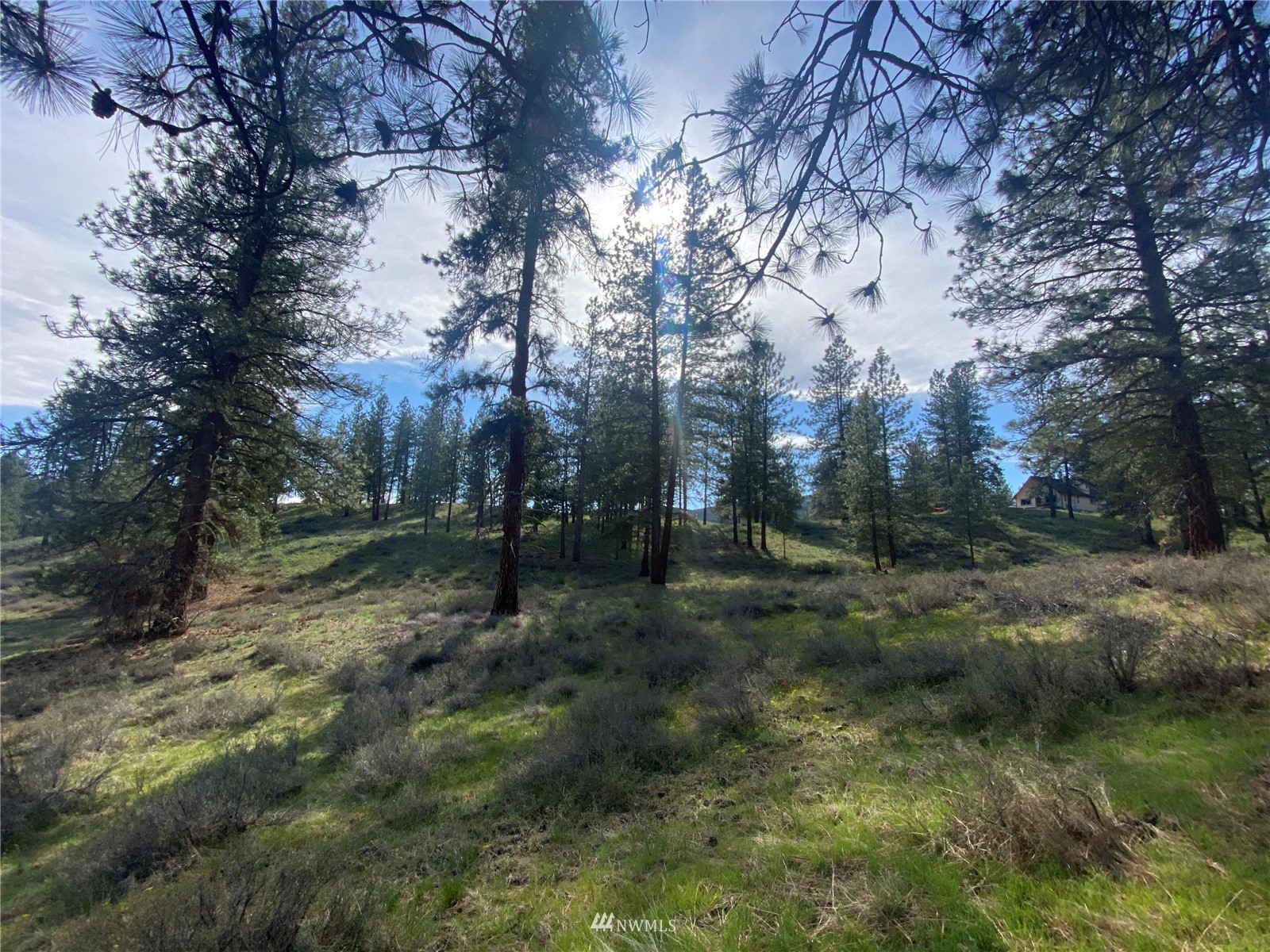 14 Knotty Pine Road Winthrop, WA 98862 - Photo 11 of 21 Gallery Image 11