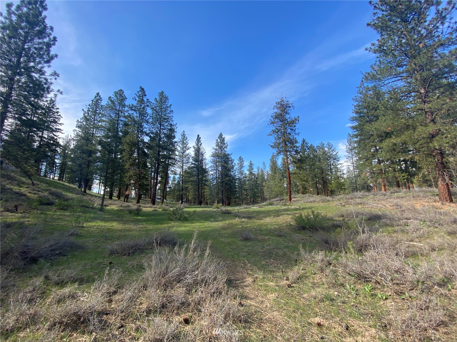 14 Knotty Pine Road Winthrop, WA 98862 - Photo 14 of 21 Gallery Image 14