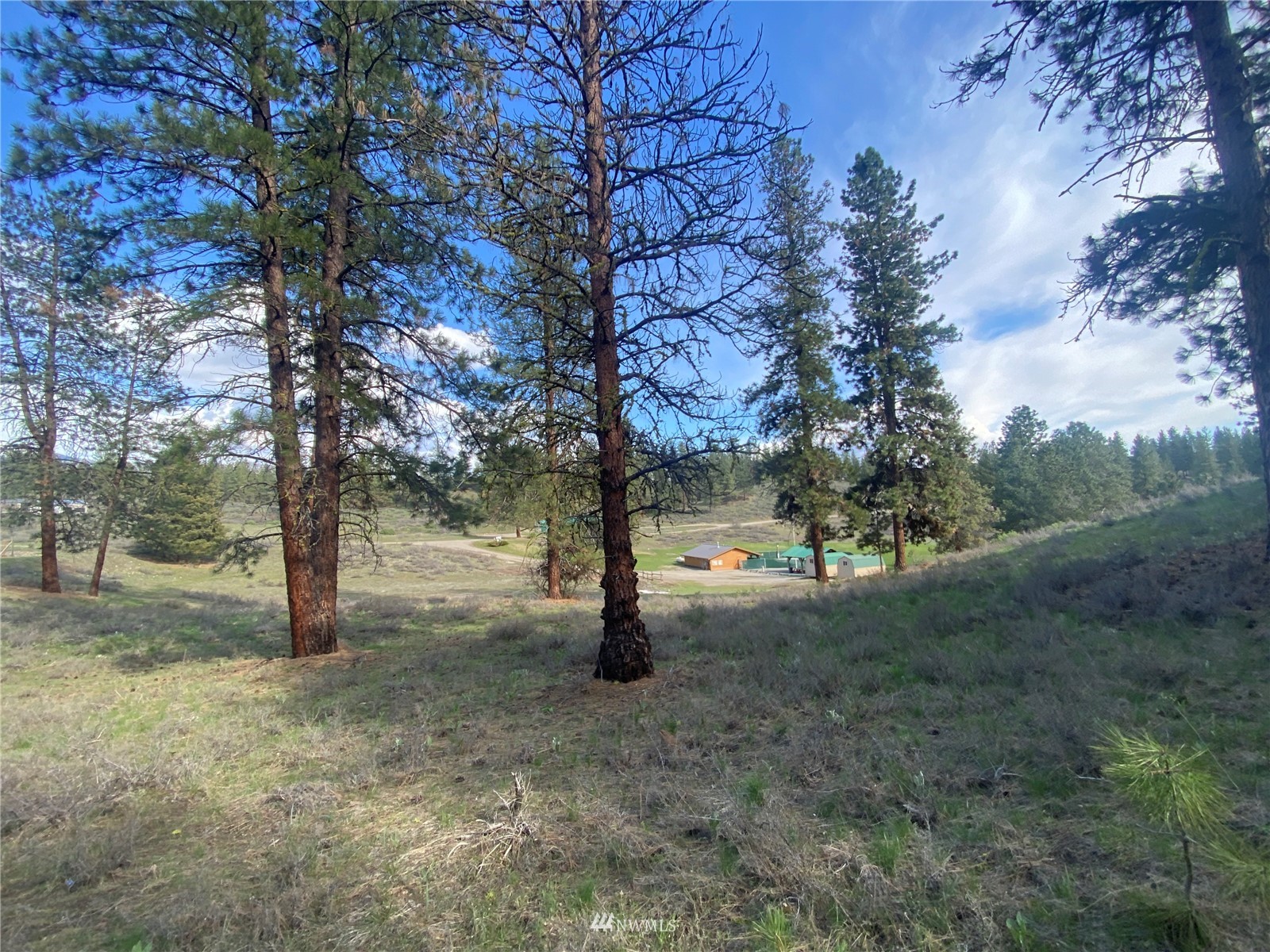 14 Knotty Pine Road Winthrop, WA 98862 - Photo 16 of 21 Gallery Image 16