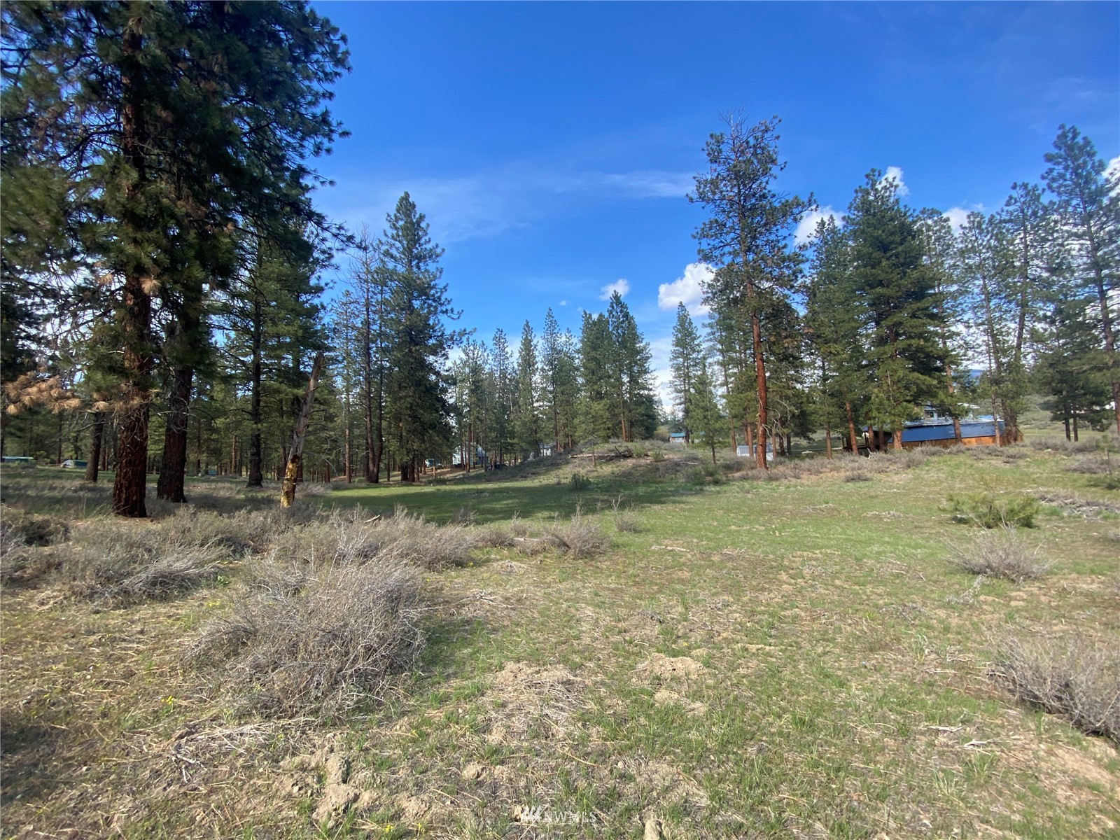 14 Knotty Pine Road Winthrop, WA 98862 - Photo 17 of 21 Gallery Image 17