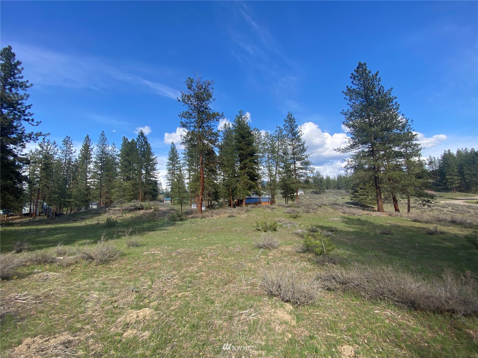 14 Knotty Pine Road Winthrop, WA 98862 - Photo 19 of 21 Gallery Image 19