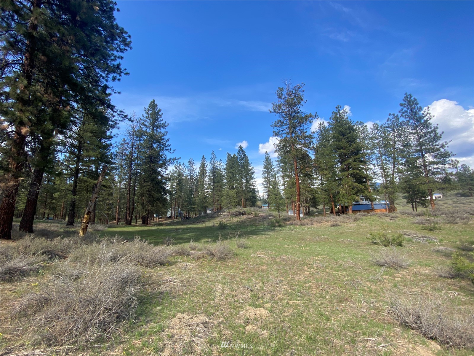 14 Knotty Pine Road Winthrop, WA 98862 - Photo 20 of 21 Gallery Image 20