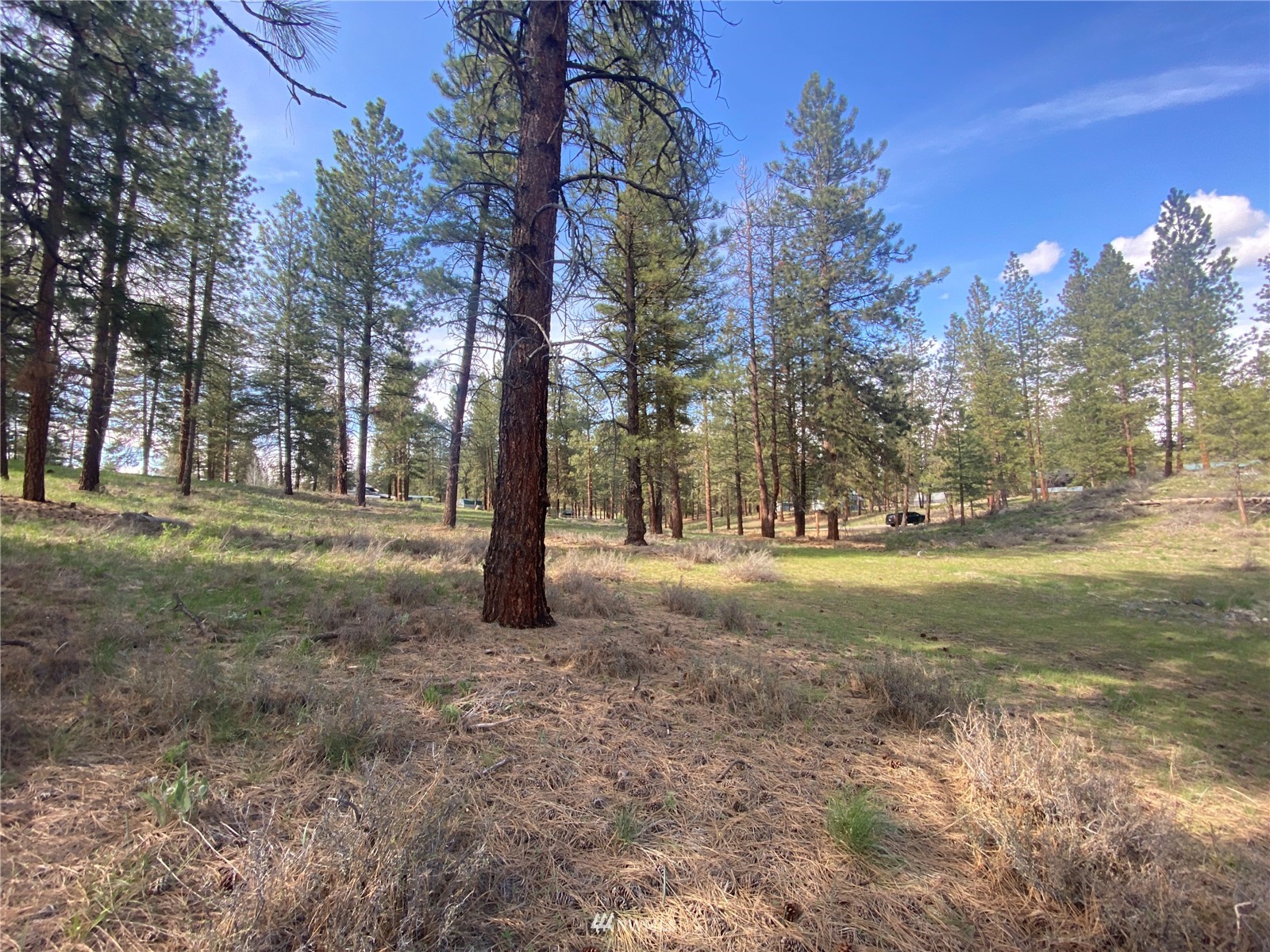 14 Knotty Pine Road Winthrop, WA 98862 - Photo 2 of 21 Gallery Image 2