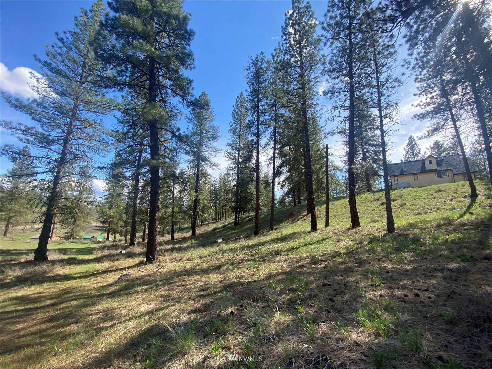 14 Knotty Pine Road Winthrop, WA 98862 - Photo 3 of 21 Gallery Image 3