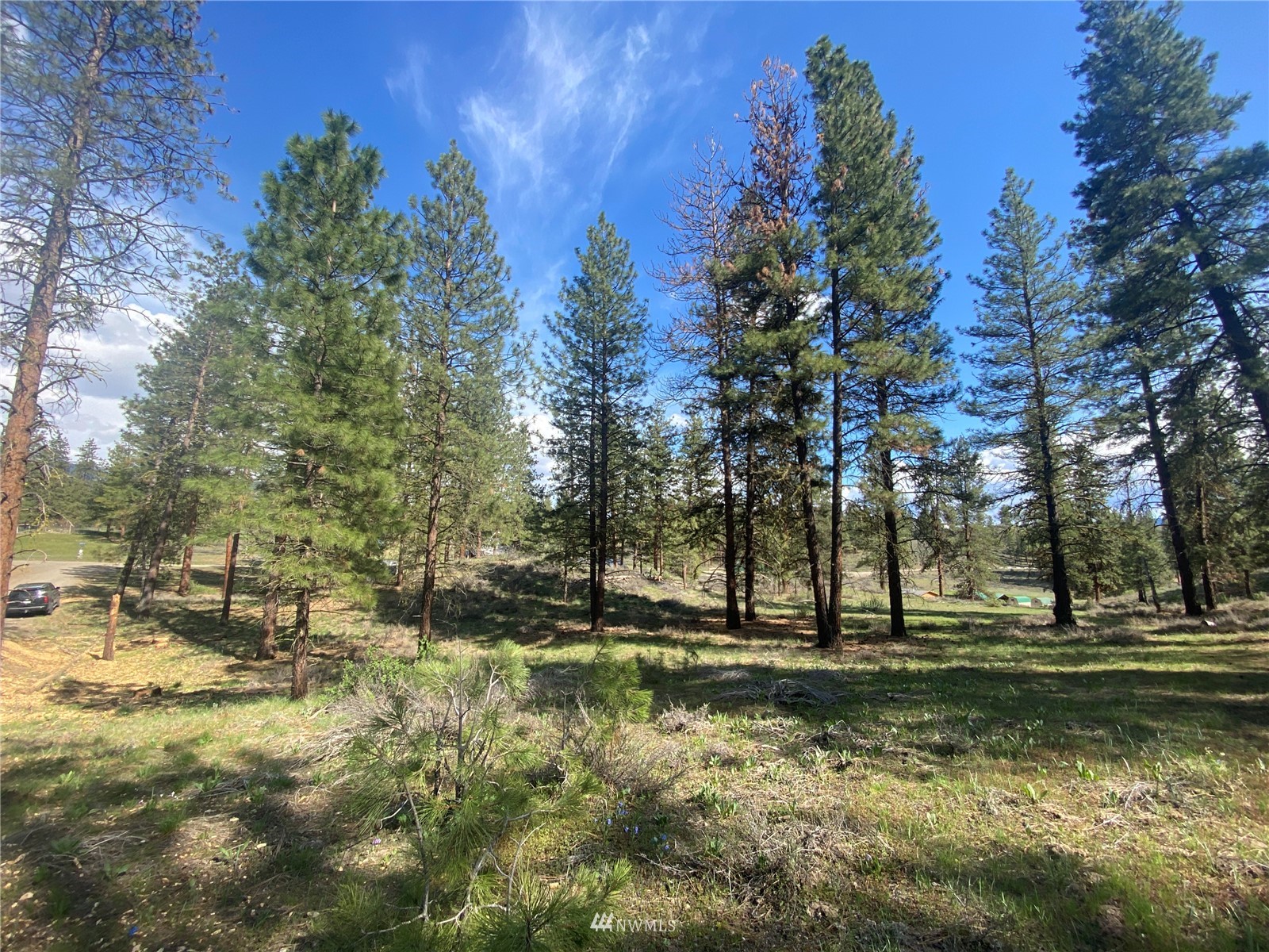 14 Knotty Pine Road Winthrop, WA 98862 - Photo 7 of 21 Gallery Image 7