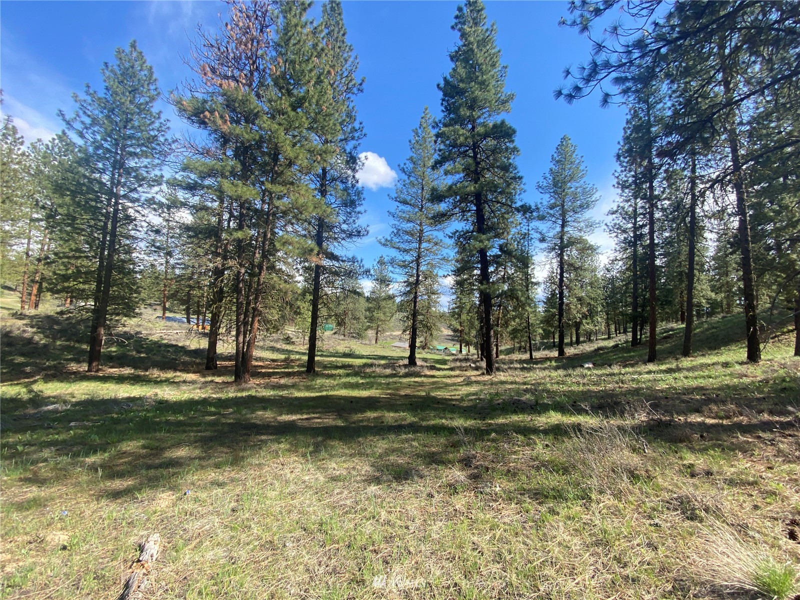 14 Knotty Pine Road Winthrop, WA 98862 - Photo 8 of 21 Gallery Image 8