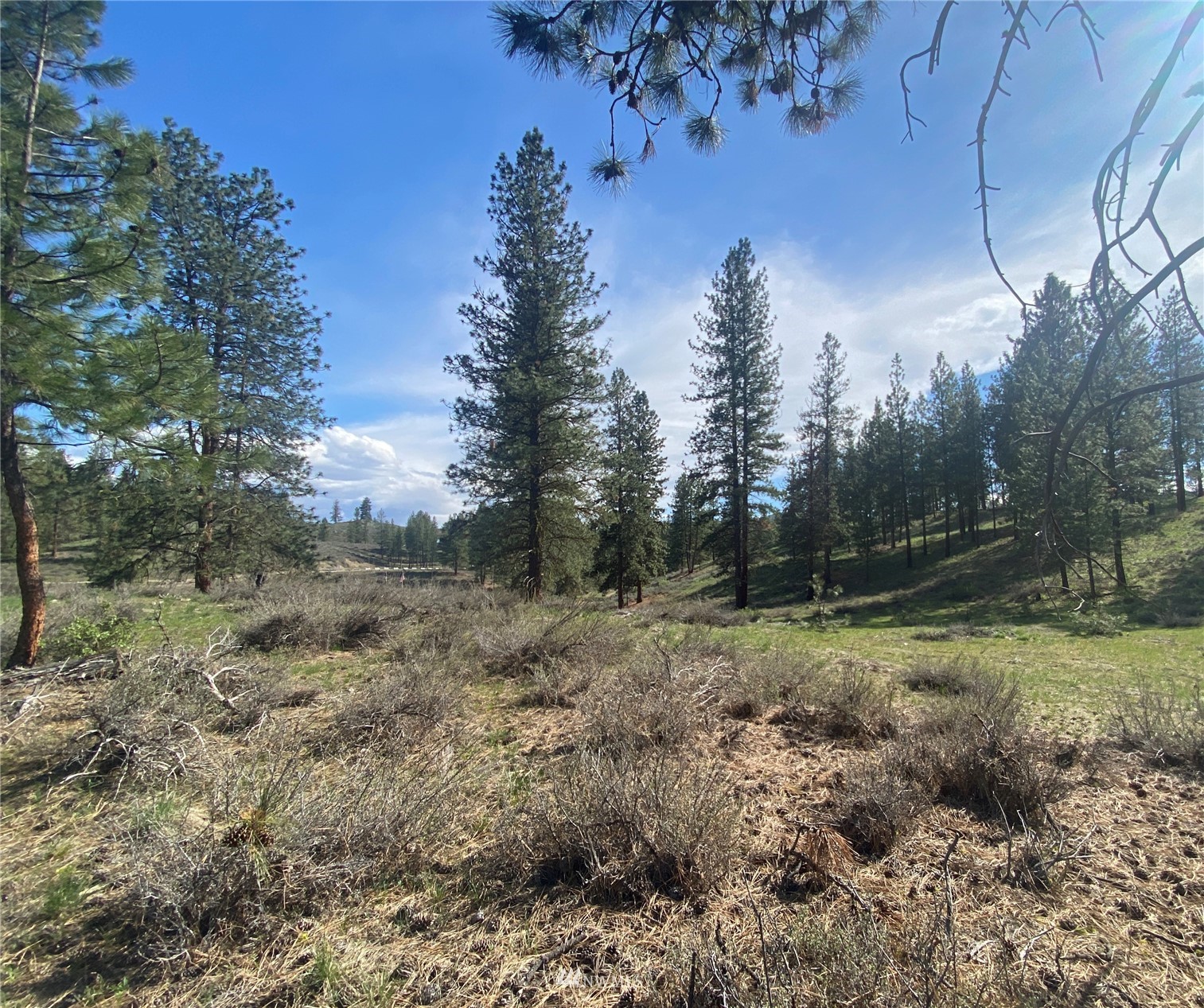 14 Knotty Pine Road Winthrop, WA 98862 - Photo 9 of 21 Gallery Image 9
