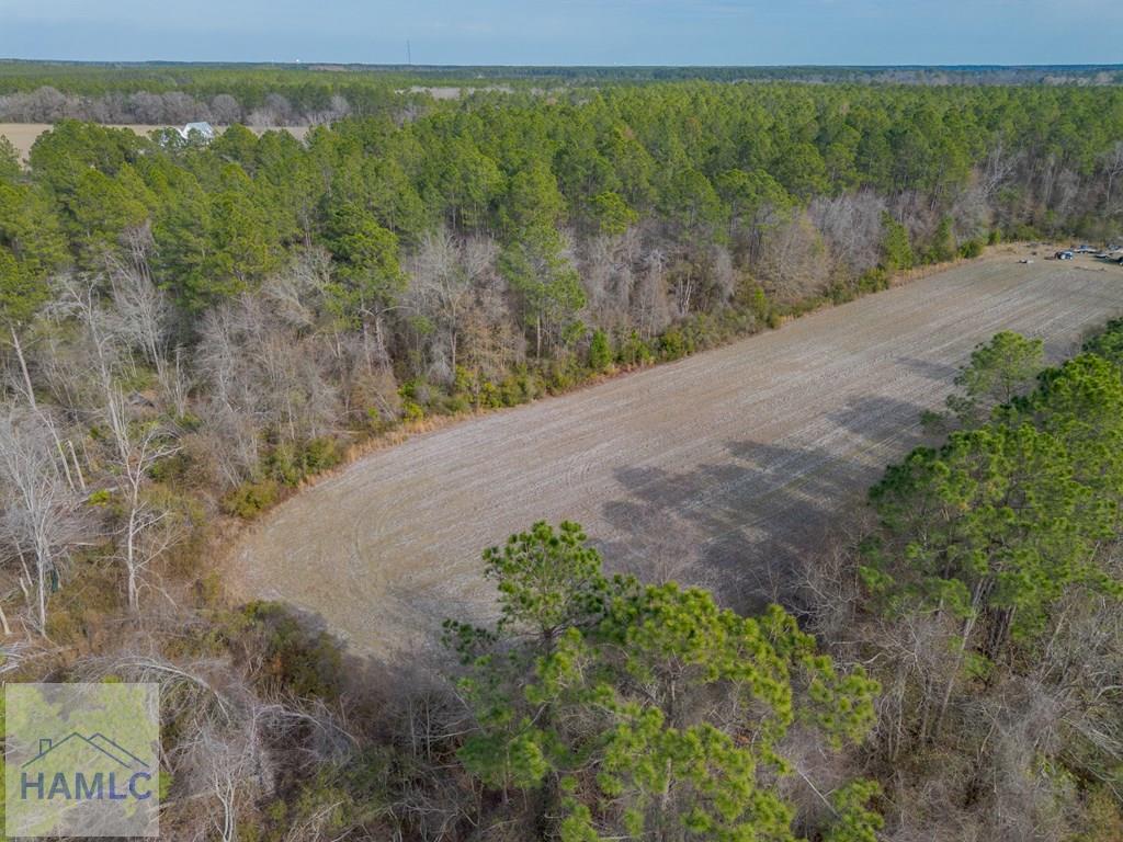3 Reddish Road Screven, GA 31560 - Photo 18 of 55 Gallery Image 18