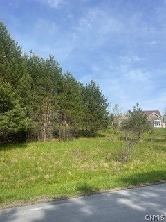 0 Butternut Road New Hartford, NY 13413 - Photo 1 of 1 Gallery Image 1