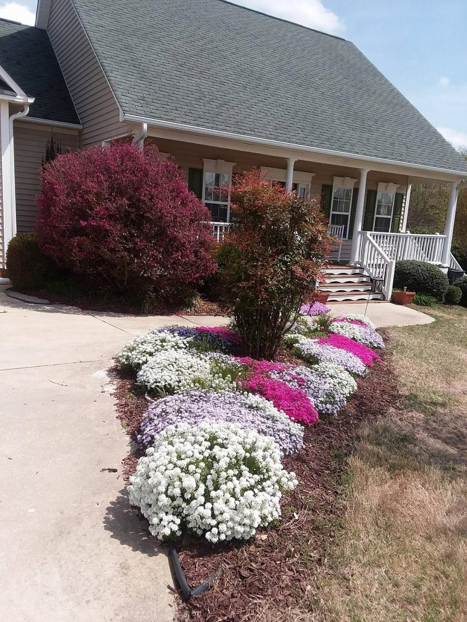 67 Jetherage Drive Willow Spring, NC 27592 - Photo 2 of 36 Just a preview of the plantings at Jetherage - lovely