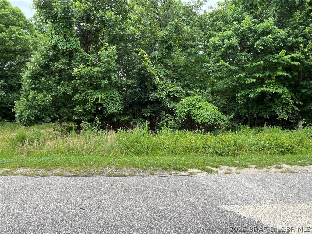 Lot 1050 Bittersweet Rd Lake Lake Ozark, MO 65049 - Photo 7 of 7