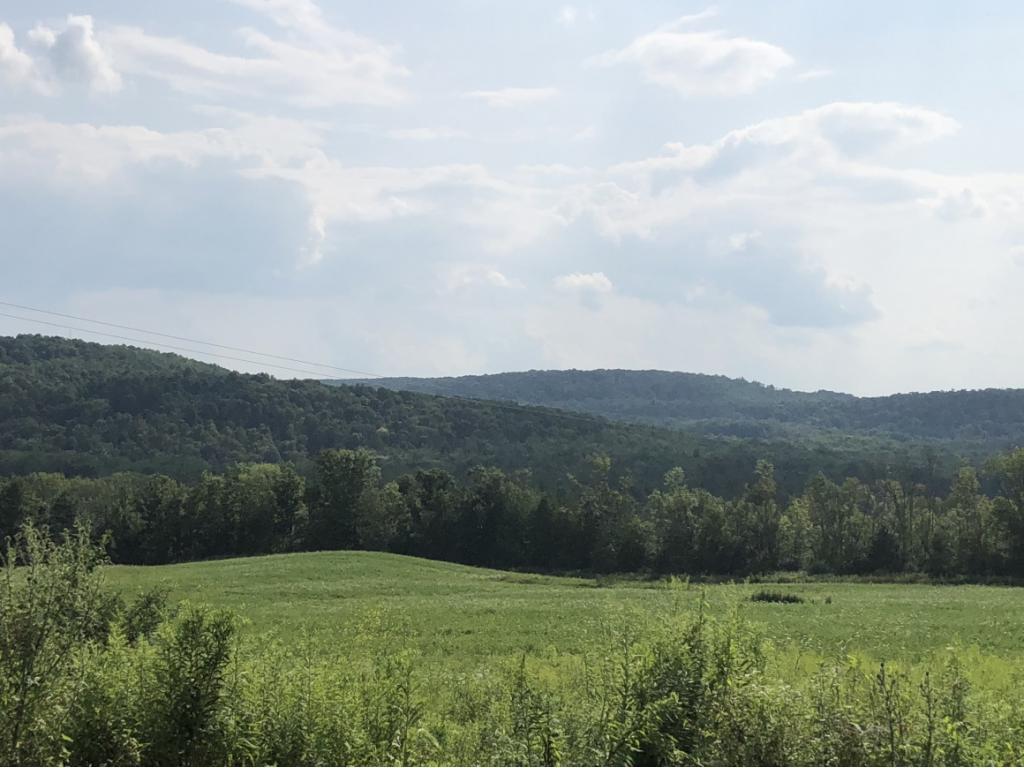 283 Van Hook Road Owego, NY 13827 - Photo 22 of 29 Gallery Image 22