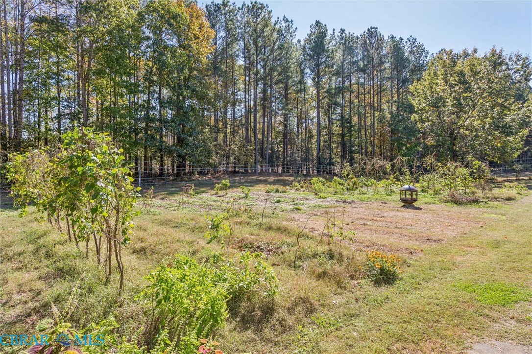 15567 Pamunkey Church Road Lanexa, VA 23089 - Photo 28 of 40 Gallery Image 28