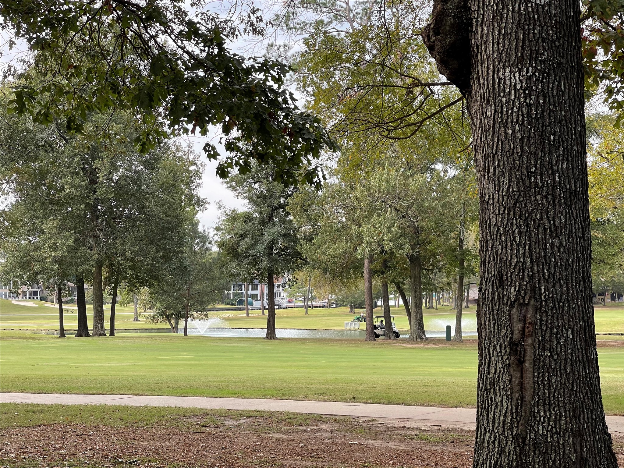12900 Walden Road, Unit 216B Montgomery, TX 77356 - Photo 23 of 44 Beautiful Views