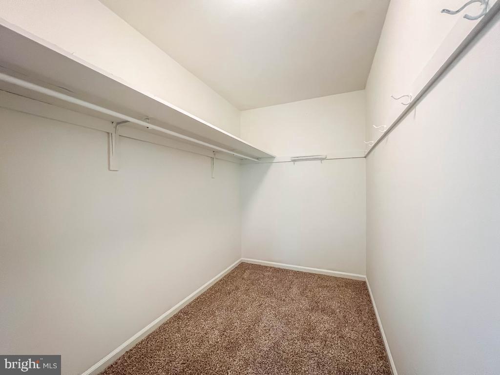 736 Timber Trail Lane Springfield, PA 19064 - Photo 27 of 47 Gallery Image 27