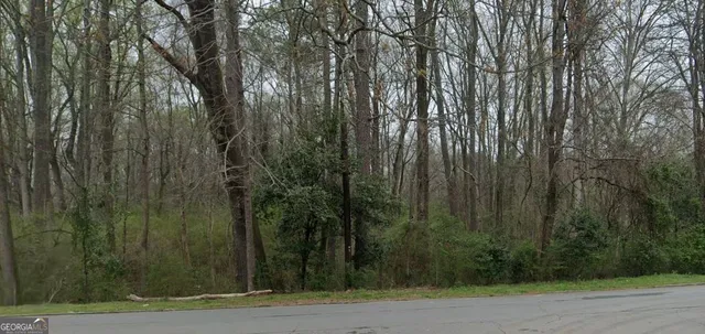 a view of a yard with large trees