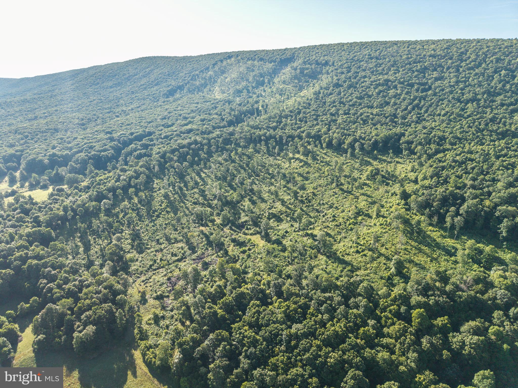 0 Spring Valley Road Gap Mills, WV 24941 - Photo 3 of 76