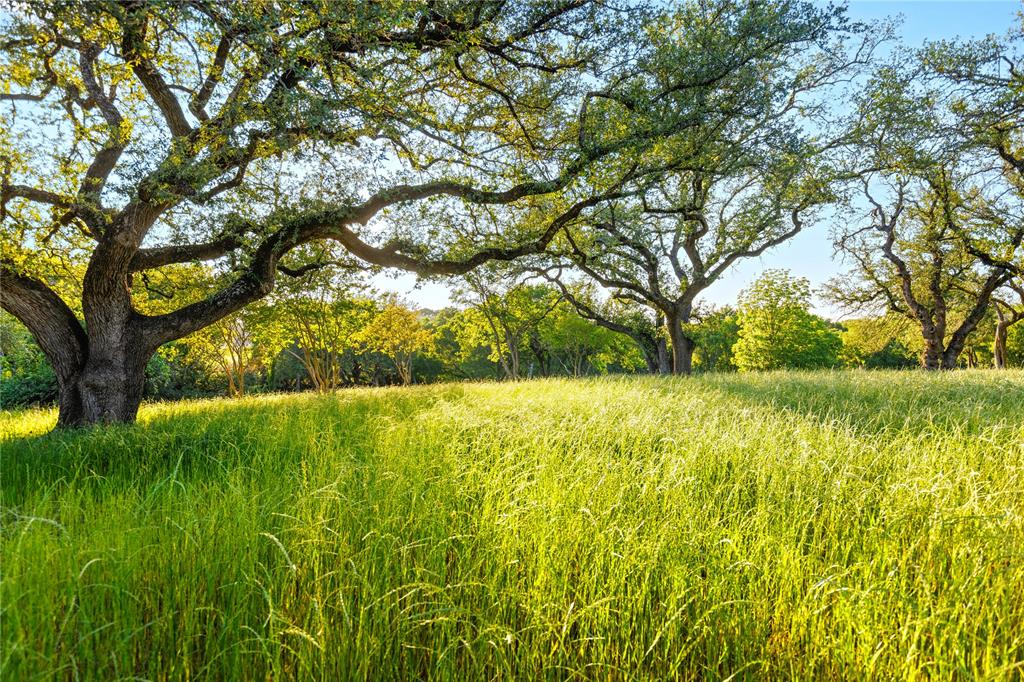 962-oak And Clover Ridge McGregor, TX 76657 - Photo 24 of 32 Gallery Image 24