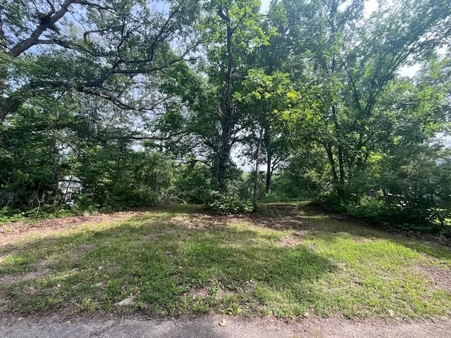 a big yard with lots of green space and deers