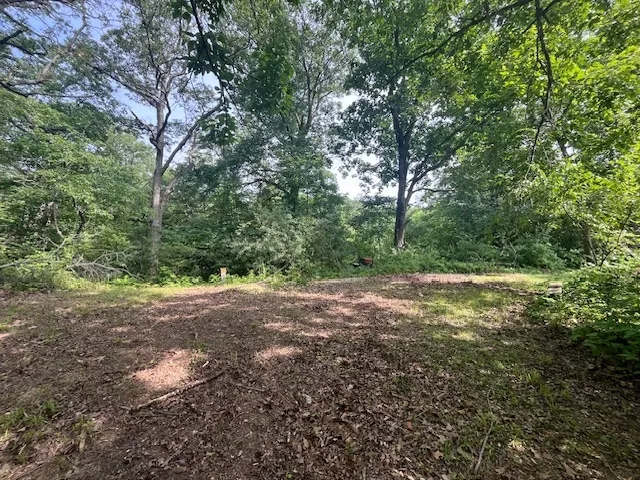 a view of a yard with a tree