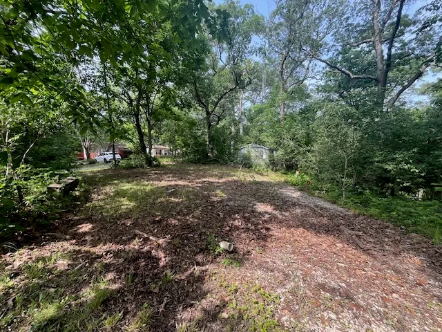 a big yard with lots of green space and deers