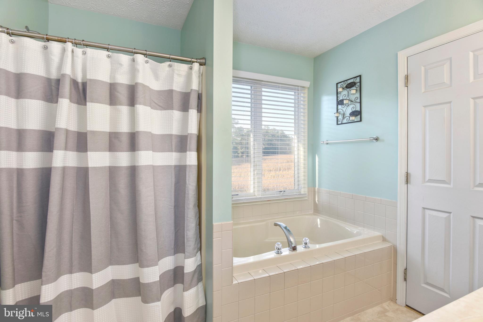 247 Rock Church Road Elkton, MD 21921 - Photo 17 of 31 Master bath with soaking tub